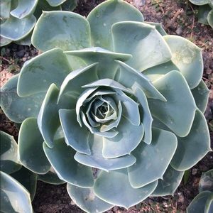 Meet your Posher, Melanie